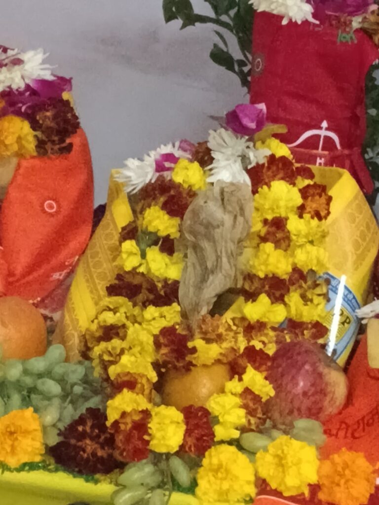 महाकुभ प्रयागराज में ब्रहमकमल