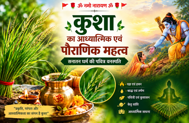 कुशा का आध्यात्मिक एवं पौराणिक महत्त्व: