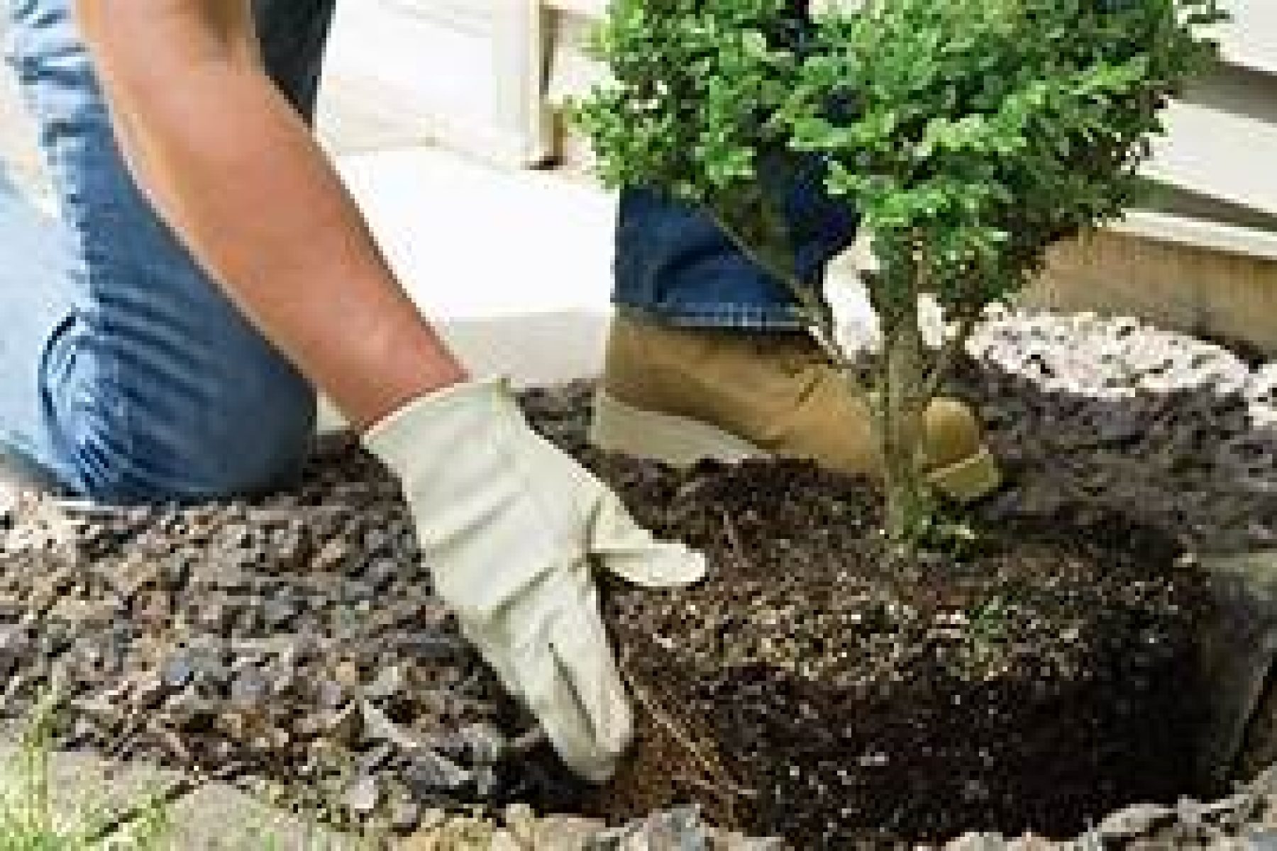 लोक ऋण उतारने के सरल उपाय